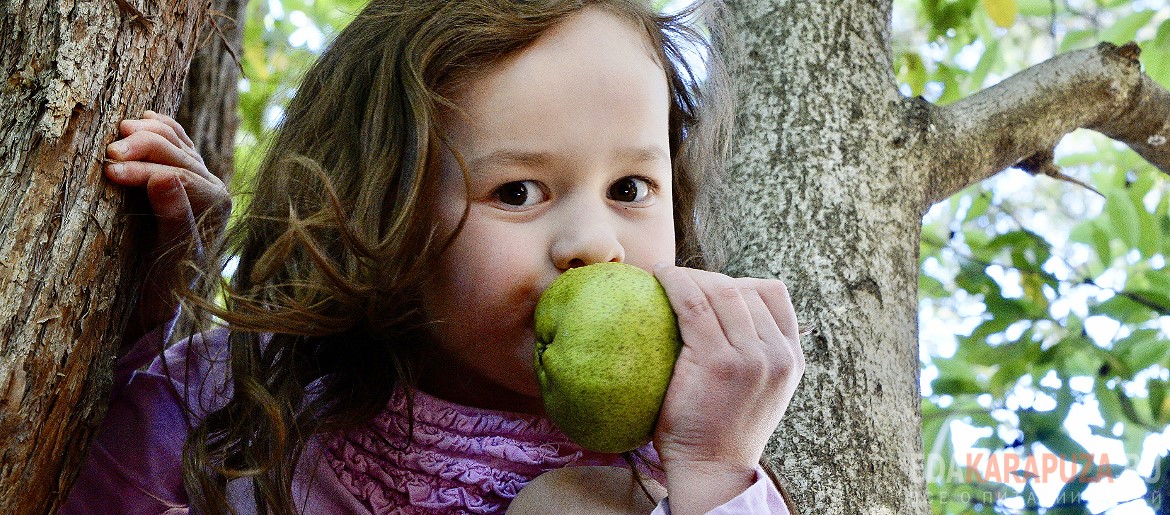 Девочка ест грушу