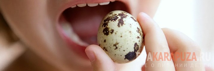 Кладёт яйцо в рот