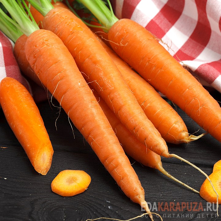 Морковь идеальный выбор для начала