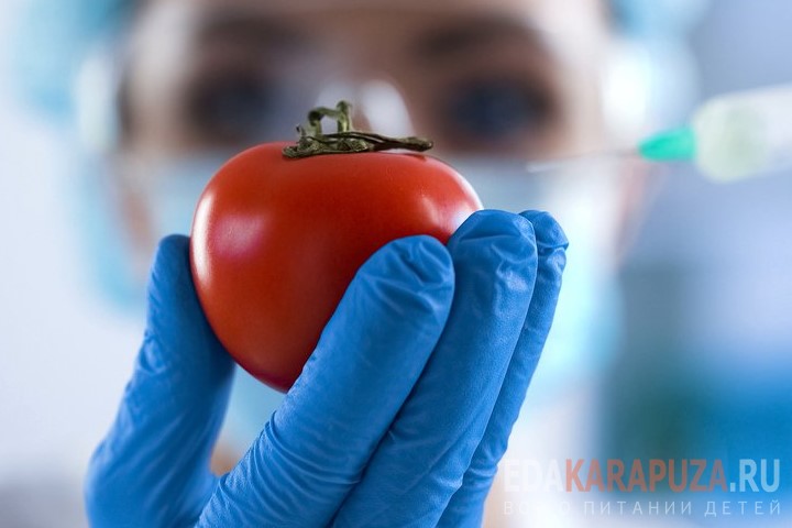 Учёные работают с помидором